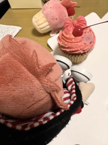 かっぷけーきおいしかったなぁ