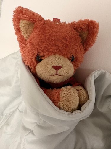 おはよ