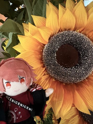 🌻ひまわり大きいな