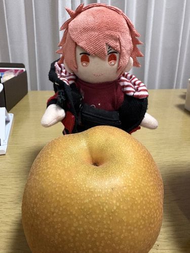 梨もらった