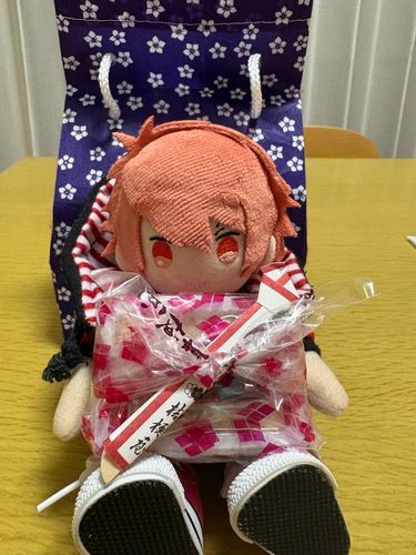もらったの