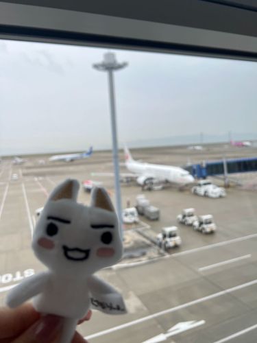 飛行機に乗って沖縄に行ったよ✨