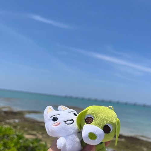 きれいな海だったね✨
お友達のリョクも連れて行ったよ🌱