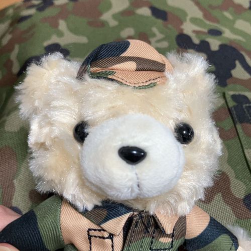 くまのやすひこです。
ばでぃとすごす、せいかつをとうこうします。