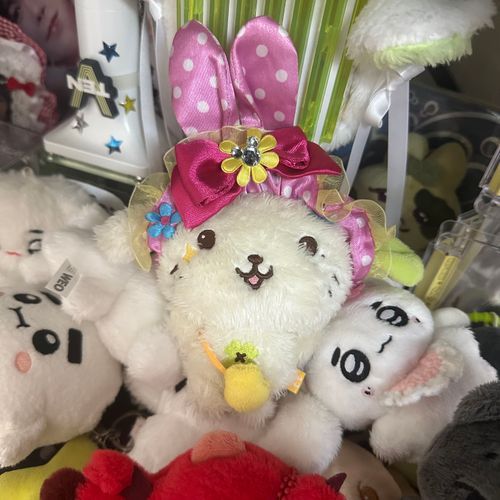 うさぎ🐰