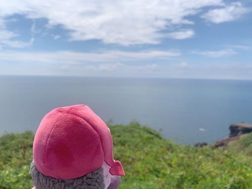 海を見てきました🌊
色々と思うところがあったみたい…