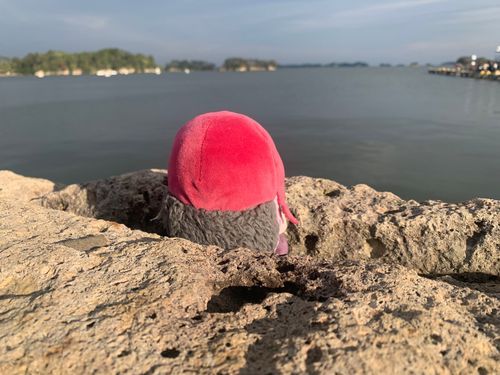 また海を見てる…