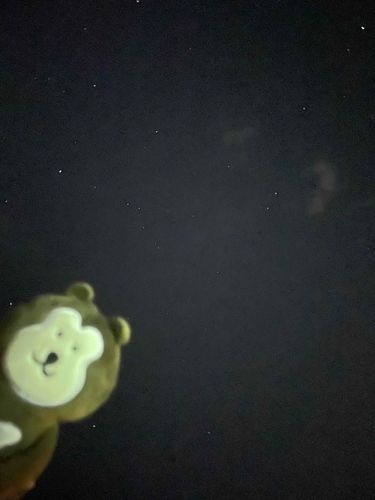 星空とマレ

in 石垣島