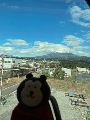 お写真難しいですね📷