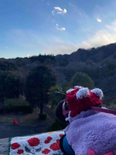 2024年3月4日の写真だよー

飼い主がお風呂にお湯をためている時、ベランダから外を見ながらおしゃべりしたんだよ。
こういうお部屋のホテル、マウンテンビューっていうだよね？