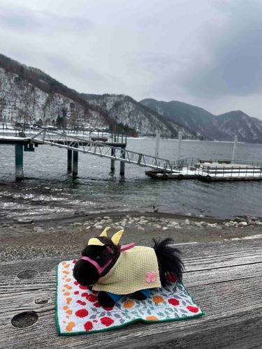 2024年3月5日の写真だよー

中禅寺湖を見に行ったけど、オフシーズンだからお店も遊覧船もやってなかったんだ…
すいてておさんぽにちょうどよかったけど、人間より野生の猿が多かったから飼い主が怖がってすぐ帰ってきちゃったんだよね💦