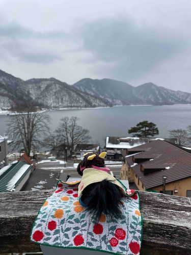 2024年3月5日の写真だよー

展望台から中禅寺湖を眺めたんだよ!
景色はとってもいいんだけど、風が強いから飛ばされちゃうかと思ったんだ💦
飼い主が急いでぼくを馬運車にしまってくれたから、無事だったよ♪

ふわもこのみんなは風が強い日の写真撮影ってどうしてるのかな??