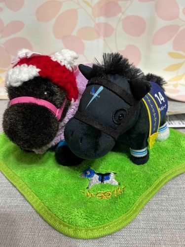 今日、新しくきてくれたお友達だよ!

ぼくとおんなじ真っ黒ボディとオシャレなメンコにひとめぼれした飼い主がUFOキャッチャーで頑張りました💪