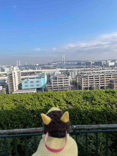 2024年11月12日の写真だよー

飼い主とお友達と横浜に行ったんだ。
いい天気で、遠くまでよく見えたよ✨️