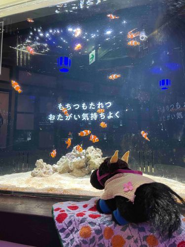2024年11月12日の写真だよー

横浜の中華街にある水族館に行ったんだ。
小さい水族館だけど、占いをテーマにした面白いところだったよ♪