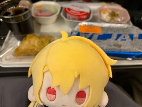 帰りの飛行機で抱き枕した。
朝の機内食と