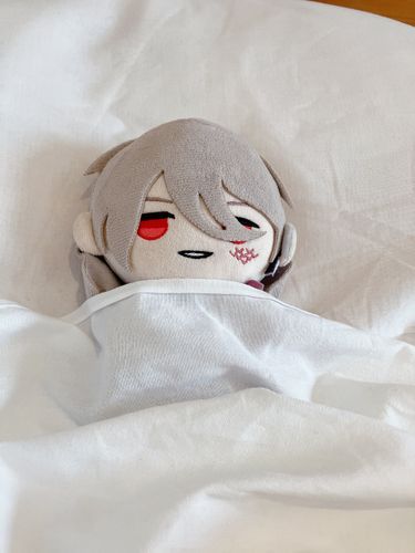 ほてるのべっとってイイよね♪