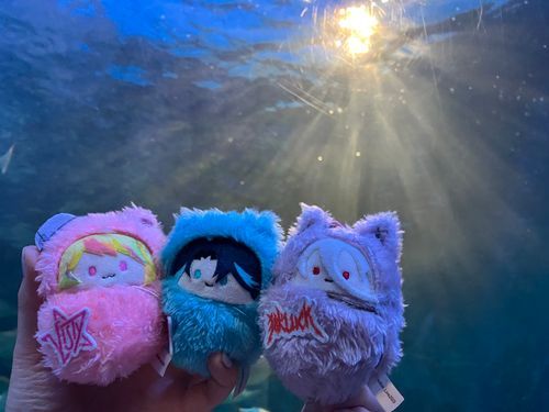 おともだちと水族館