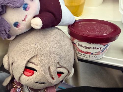 しおんぬいの上にフィットするホムぬいw