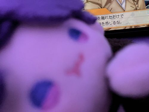 飛行機内でゲームをしてると拗ねるホムぬい