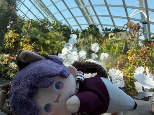 Cloud Forest inしんがぽーる