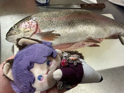 しゅじんがいまからさばく！