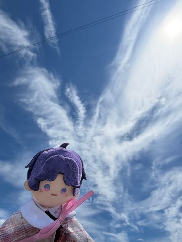 ごしゅじんには
ぼくがそらをキャンパスにしてえを描いたように見えたって！