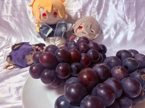 ぬいたち「たべたい…おいしそう……ぼくとおなじいろ……」


お友達から葡萄を頂いたので記念に🥰