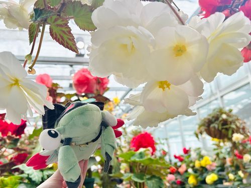 植物園に行きました🌺