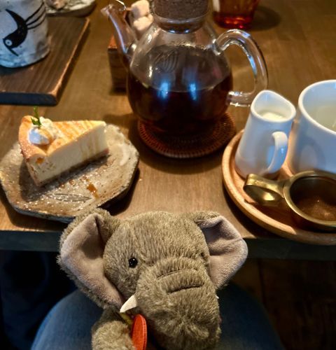 こうべのおしゃれなカフェです。チーズけいきがとてもおいしかったです！こだわりのあるかんじで、みなさんにもぜひいってほしいです🐘