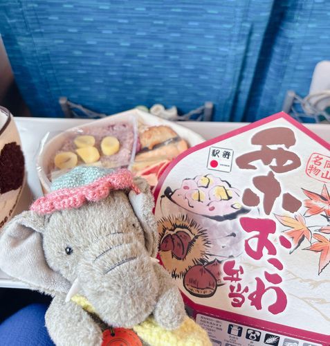 おかやまのえきべんです。くりがあまくて、しょっぱいごましおとよくあいます！おかずのなかにつくねがはいってたのがうれしかったです🌰