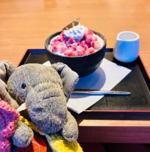 いちごのかきごおりです。ともだちはすでにひろうこんぱいだそうです。おでかけは少なめになるそうですがあまいものをたべられたのでぞうちゃんはまんぞくです🧡
