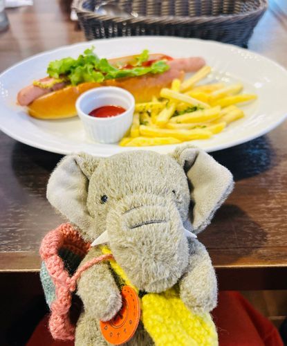 ほしのこーひーのホットドッグです！ぽてとがだいすきなぞうちゃんにうってつけのめにゅーです。