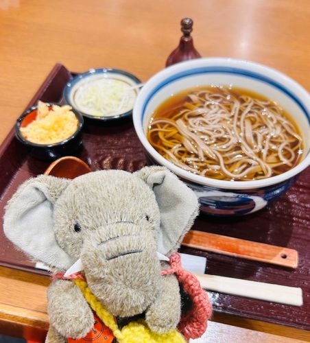 あったかかけお蕎麦とぞうちゃん🐘ぞうちゃんははじめてのお蕎麦でしたがすっきりしつつも歯ごたえがあっておいしかったです🧡