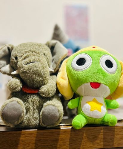 同じ家に住んでる、ぞうちゃんどのであります🐘