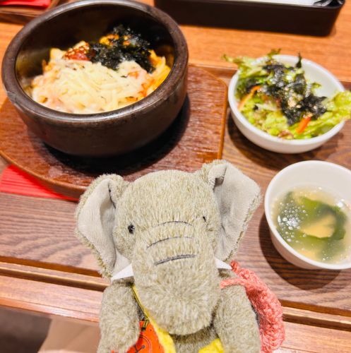 きらきらちーずいしやきびびんばです。ちゃるもっけすむにだ🐘