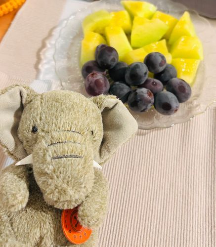 のうこうメロンと、あま〜い巨峰です🍈🍇🐘  フルーツはだいこうぶつなので、うれしいです🌟