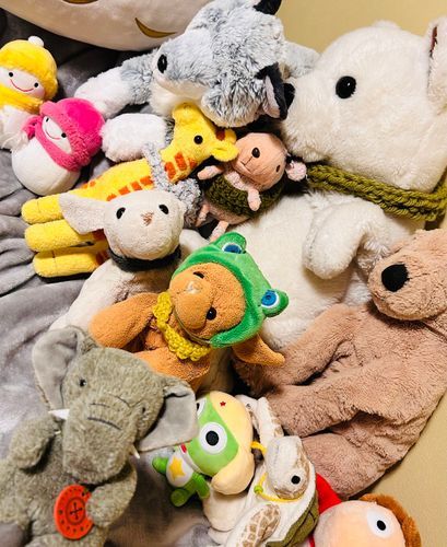 ぬいぐるみしんぼくかいです🧡みんななかよし！！💕🐘