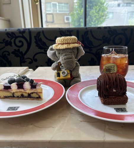 これはすこしまえ行った、美味しいちょこれーとのもんぶらんと、ぶるーべりーたるとのおしゃしんです🫐🐘