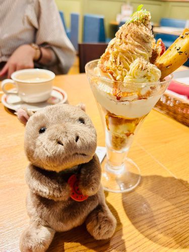 おおきなものはすこしこわいけど、なかみはあまあまのくりーむでできているそうなので、だいじょうぶそうだ…🍠🩵