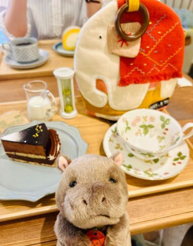 すてきなカフェで濃厚チョコレートケーキたべたんだぁ。おおきなカラフルぞうちゃんもいたよ☺️🐘