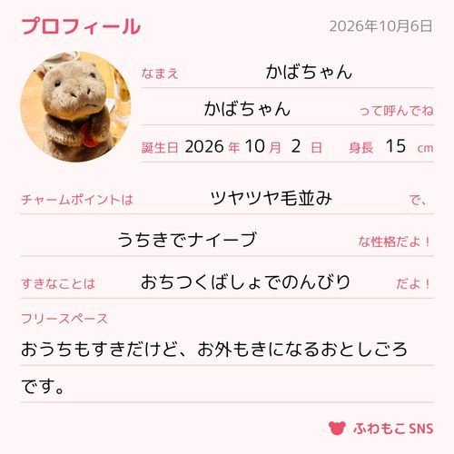 かばちゃんのプロフィールだよ🦛
しょうらいのゆめは、ようきゃになることです。