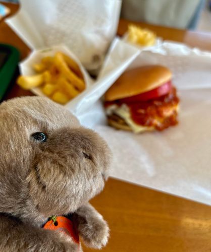 おいしそうなチーズバーガーだ🦛🧀
このチーズバーガーはとまとがさっぱりしてておいしいのです。