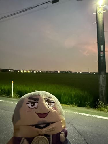 花火見たんだぜ