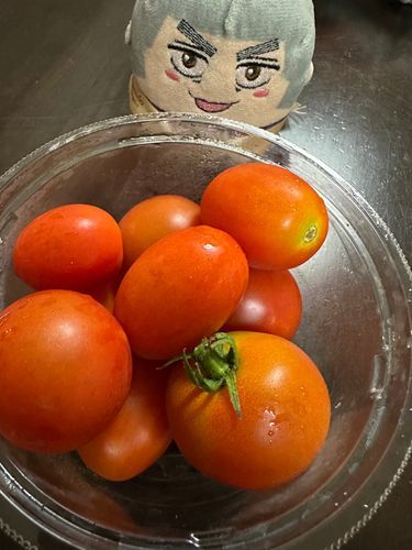 とまとがほうさくだ