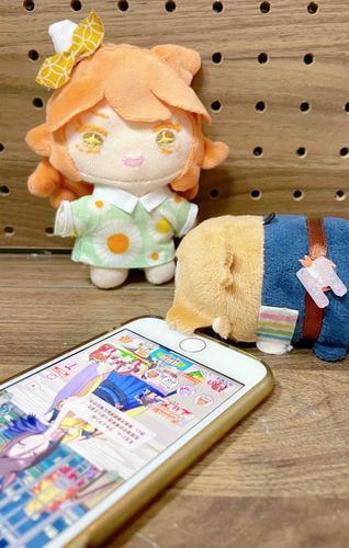 ほうちょうもちさん   とは、   ぼせい   の   かいしゃく   が    ちがう    ようです。