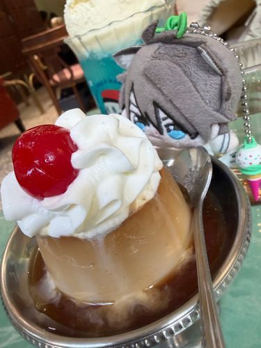 プリンだよほわちゃん
🐱：⋯🍮‼️‼️
