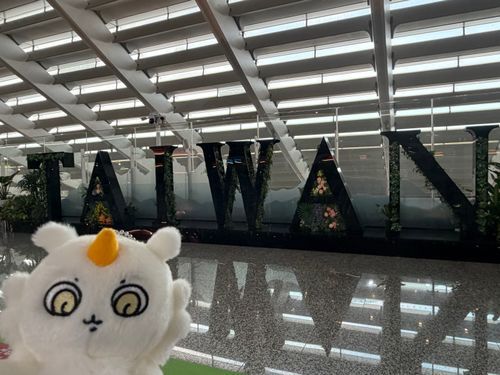 うちに帰った✌🏼