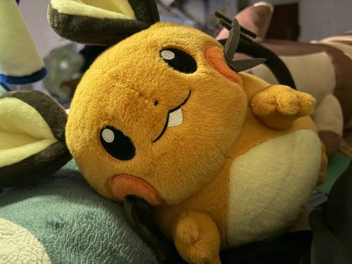 一緒に寝ねンネ