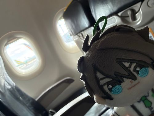 飛行機乗りましたよほわちゃん
🐱：⋯👋🏼